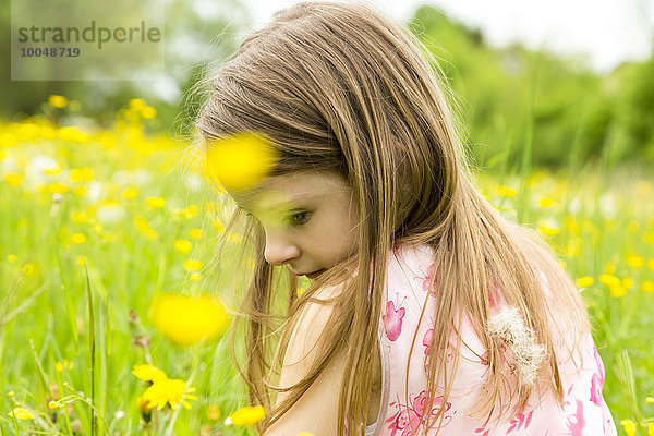 Kleines Mädchen auf einer Blumenwiese sitzend