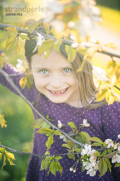 Porträt eines lächelnden kleinen Mädchens  das durch Zweige eines blühenden Baumes schaut.
