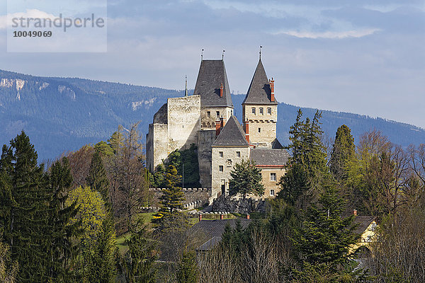 Österreich  Niederösterreich  Bucklige Welt  Burg Wartenstein