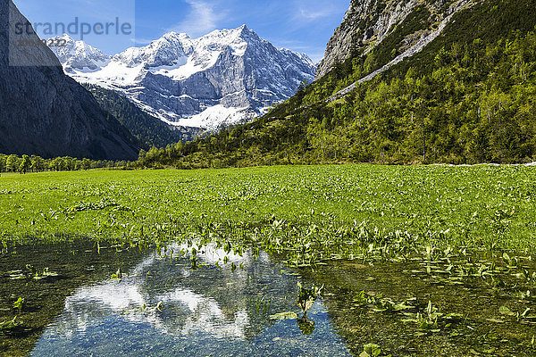 Österreich  Tirol  Karwendel  Risstal  Blick auf den Großen Ahornboden mit Spritzkarspitze