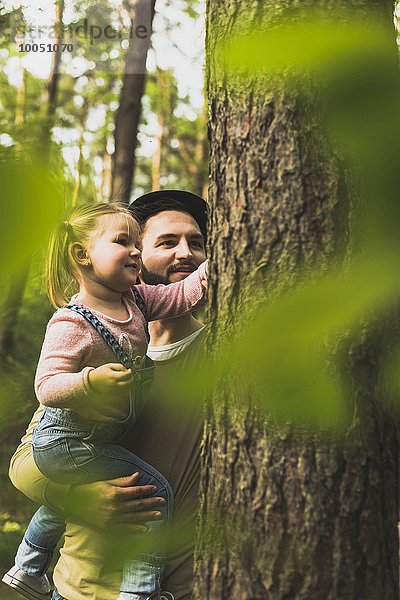 Mädchen mit Vater im Wald untersucht Baumstamm