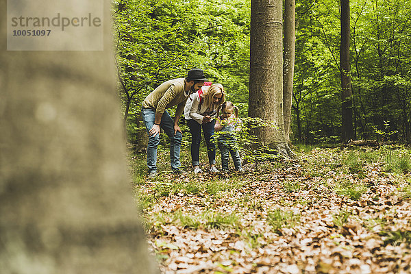 Familie im Wald untersucht kleinen Baum