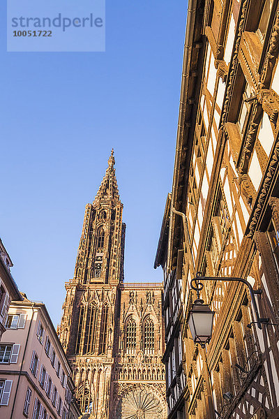 Frankreich  Elsass  Straßburg  Straßburger Dom und Fachwerkhaus