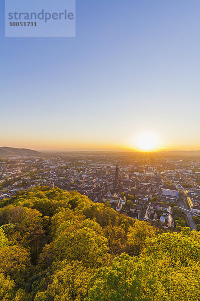 Deutschland  Baden-Württemberg  Freiburg  Stadtansicht bei Sonnenuntergang