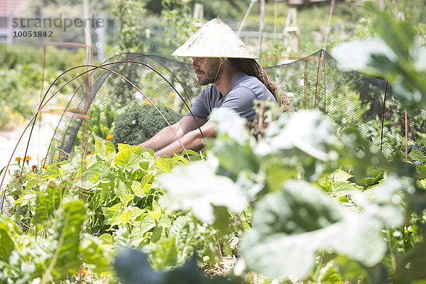 Gärtner mit asiatischem Hut bei der Arbeit