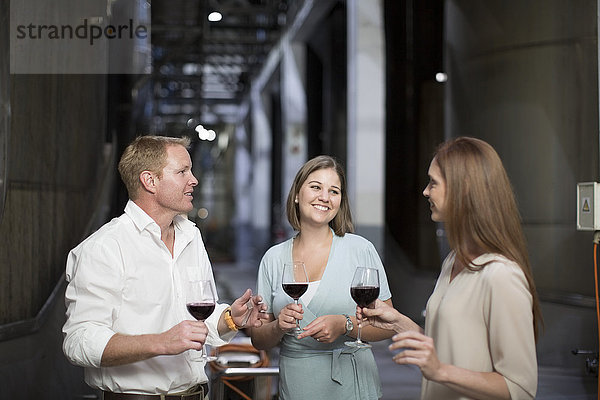Drei Personen bei einer Weinverkostung im Keller bei einer Diskussion