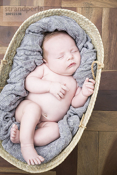 Baby schläft gemütlich im Moses-Korb