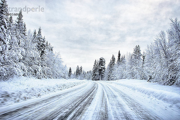 Blick auf schneebedeckte Waldautobahn  Hemavan  Schweden