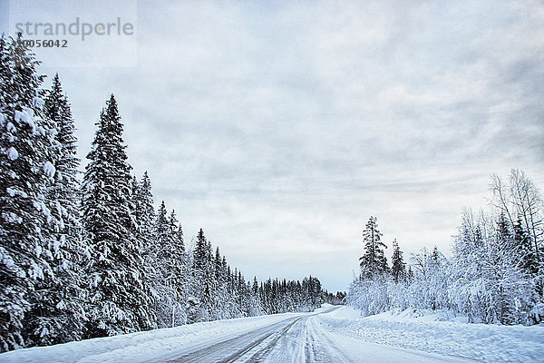 Blick auf schneebedeckte Bäume und Autobahn  Hemavan  Schweden