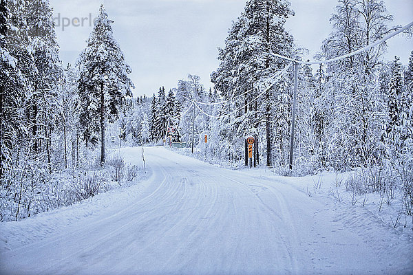 Leere schneebedeckte Landstraße  Hemavan  Schweden