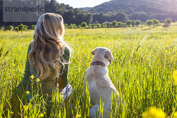 Rückansicht der reifen Frau und des Labrador Retrievers auf einer sonnendurchfluteten Wildblumenwiese.