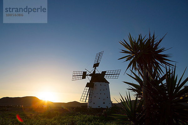 Silhouette von Molino de el Roque bei Sonnenaufgang  Fuerteventura  Spanien