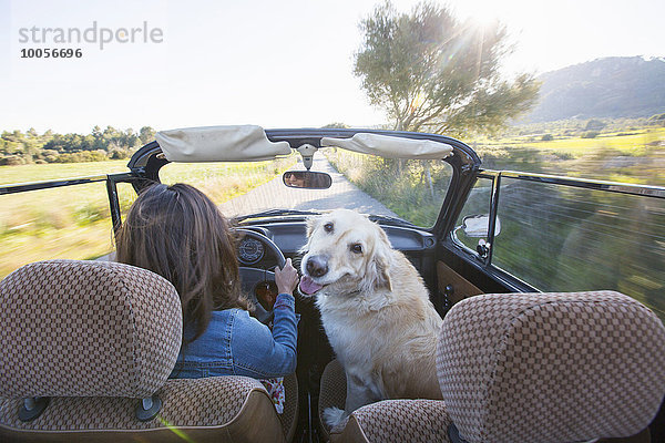 Reife Frau und Hund  im Cabriolet  Rückansicht