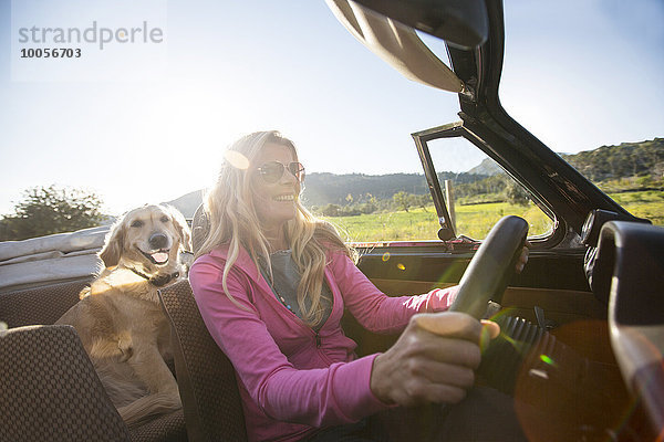Reife Frau und Hund  im Cabriolet