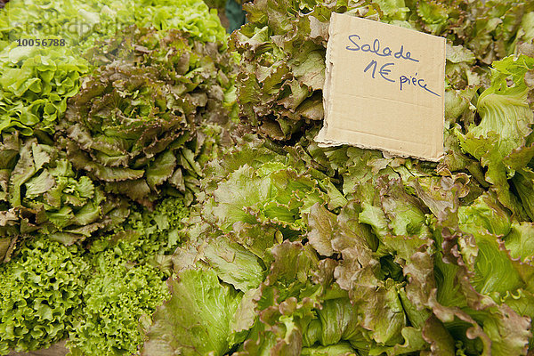 Traditioneller französischer Marktstand mit Salat  Issigeac  Frankreich