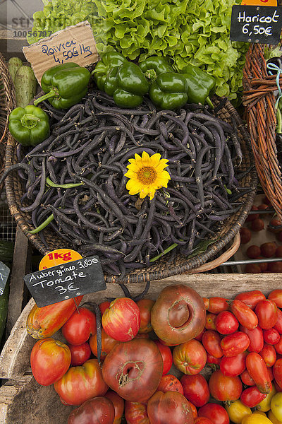 Traditioneller französischer Marktstand mit Gemüse  Issigeac  Frankreich