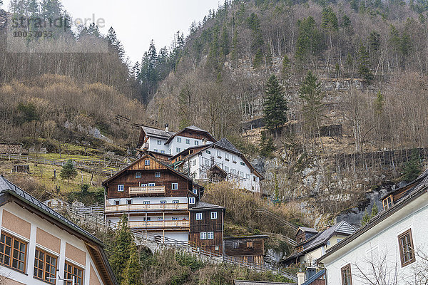 Häuser am Hang  Hallstatt  Österreich