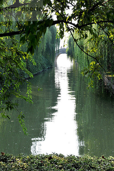 Chinesische Steinbrücke am Fluss  bedeckt mit grünen Bäumen  Hangzhou  China
