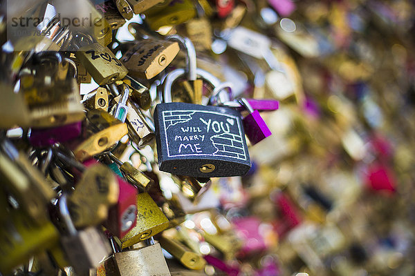 Love Locks  Pont des Arts  Paris  Frankreich