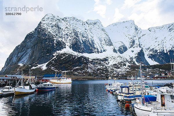 Fischerboote im Hafen  Reine  Lofoten  Norwegen