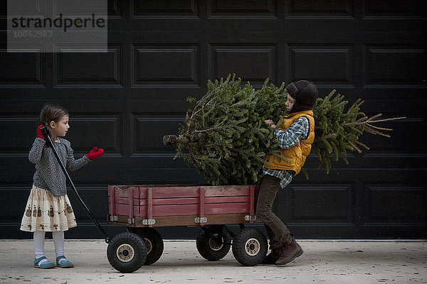 Ladewagen für Mädchen und Jungen mit Weihnachtsbaum