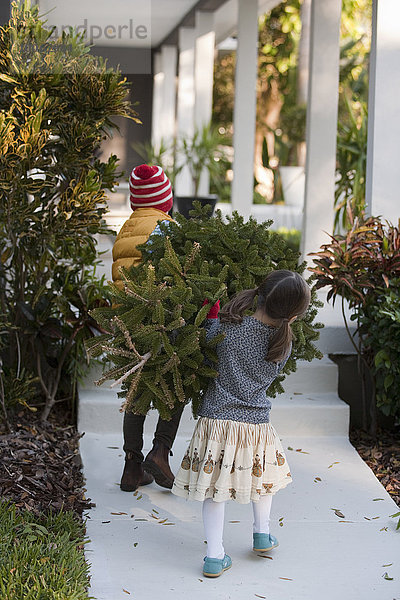 Mädchen und Junge mit Weihnachtsbaum