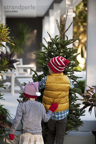 Mädchen und Junge mit Weihnachtsbaum