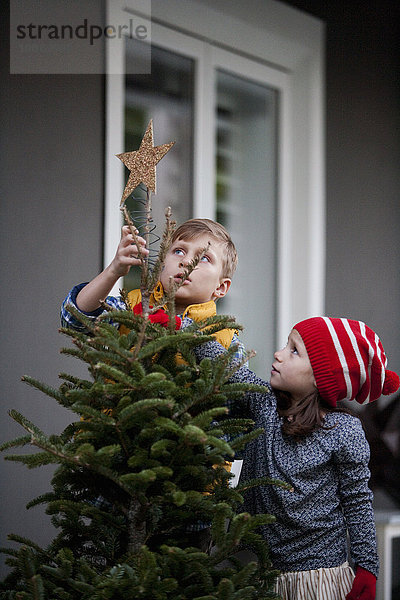 Porträt eines Jungen und Mädchens  das den Weihnachtsbaum mit Sternen verziert.