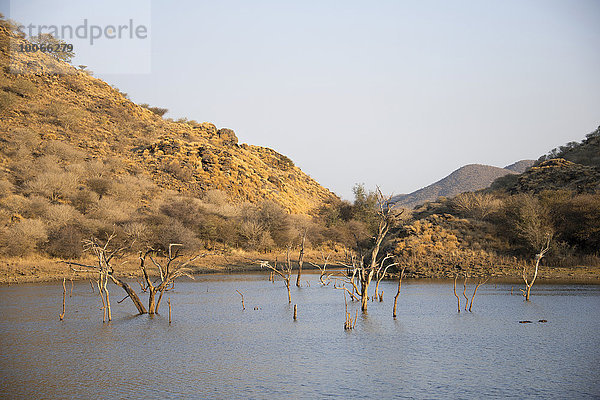 Andreas-Damm mit abgestorbenen Bäumen  Khomas  Namibia  Afrika