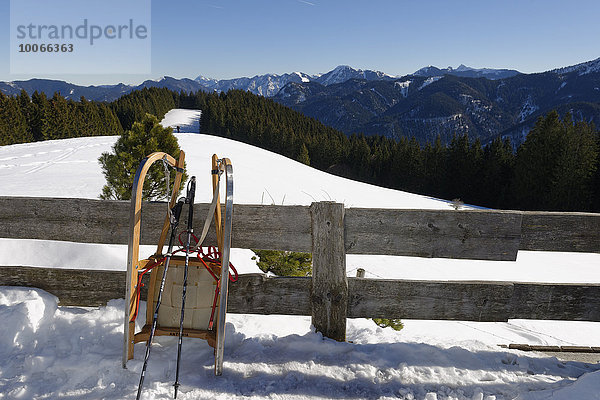 Schlitten  Rodel auf der Aueralm im Winter  Bergtour von Bad Wiessee zur Aueralm  Tegernsee Gebiet  Oberbayern  Bayern  Deutschland  Europa