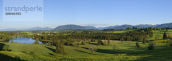 Naturschutzgebiet Bichelbauernfilz mit Schwaigsee  bei Wildsteig  Oberbayern  Bayern  Deutschland  Europa