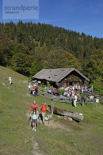 Wanderer auf der Mitterhütte an der Hochalm  Isarwinkel  Tölzer Land  Oberbayern  Bayern  Deutschland  Europa