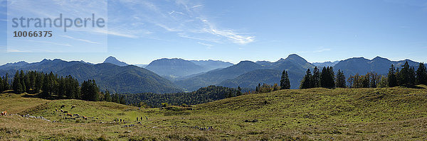 Panorama nach Süden von der Hochalm  Isarwinkel  Tölzer Land  Oberbayern  Bayern  Deutschland  Europa