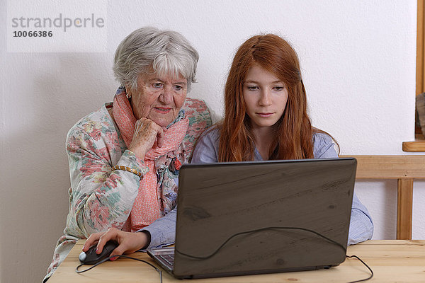 Enkelin und Großmutter am Laptop  Bayern  Deutschland  Europa