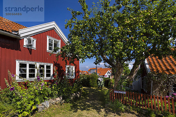 Haus auf der Insel Gullholmen  Orust  Provinz Västra Götaland  Bohuslän  Schweden  Europa