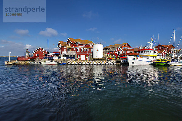 Hafen der Insel Käringön  Orust  Provinz Västra Götaland  Bohuslän  Schweden  Europa
