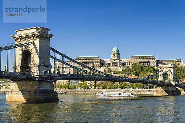 Kettenbrücke über Donau und Burgpalast  Budapest  Ungarn  Europa