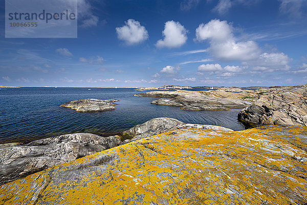 Schärenküste auf der Insel Gullholmen  Orust  Provinz Västra Götaland  Bohuslän  Schweden  Europa