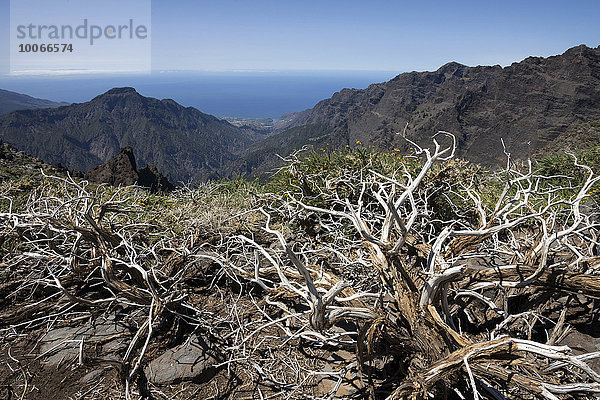 Ausblick vom Roque de los Muchachos auf die Caldera de Taburiente  La Palma  Kanarische Inseln  Spanien  Europa