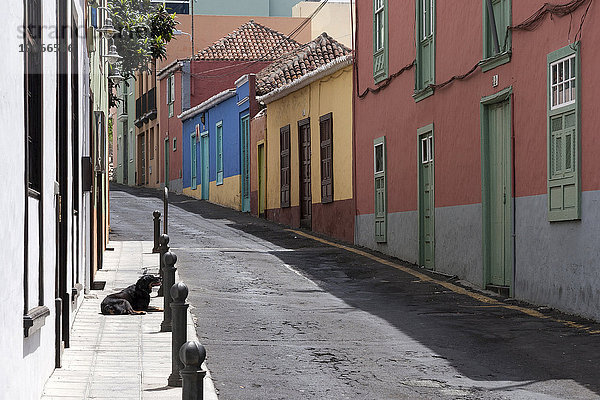 Gasse mit bunten Häusern in der Altstadt von Los Llanos  La Palma  Kanarische Inseln  Spanien  Europa