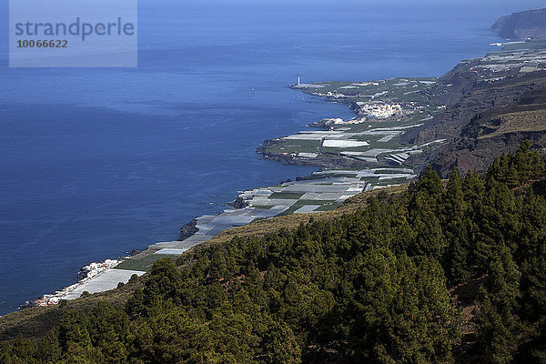 Ausblick auf Bananenplantagen und Puerto Naos  Westküste  La Palma  Kanarische Inseln  Spanien  Europa