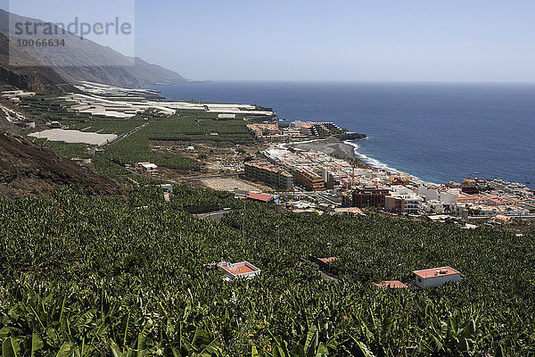 Ausblick auf Bananenplantagen und Puerto Naos  La Palma  Kanarische Inseln  Spanien  Europa