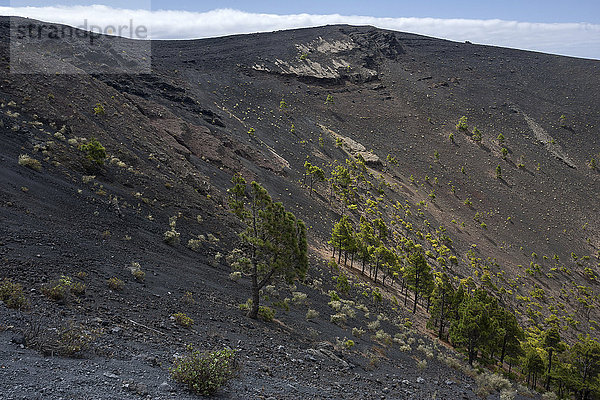 Krater des Vulkans de San Antonio  bei Fuencaliente  La Palma  Kanarische Inseln  Spanien  Europa