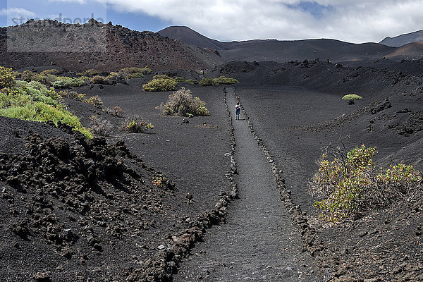 Weg durch die Vulkanlandschaft mit typischer Vegetation  hinten der Vulkan de Teneguia  bei Fuencaliente  La Palma  Kanarische Inseln  Spanien  Europa