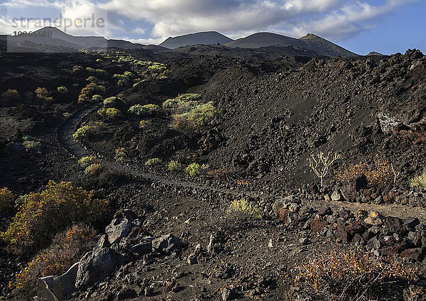 Weg durch die Vulkanlandschaft mit typischer Vegetation  hinten die Vulkane de Teneguia und de San Antonio  bei Fuencaliente  La Palma  Kanarische Inseln  Spanien  Europa