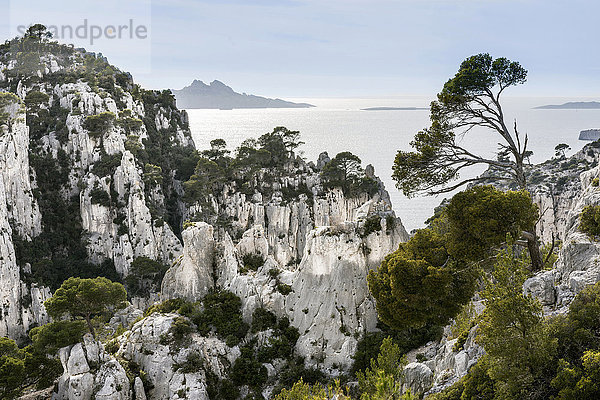 Massif des Calanques  Kalksteinfelsen  Nationalpark Calanques oder Parc national des Calanques  Vaufrèges  Marseille  Provence-Alpes-Côte d'Azur  Frankreich  Europa