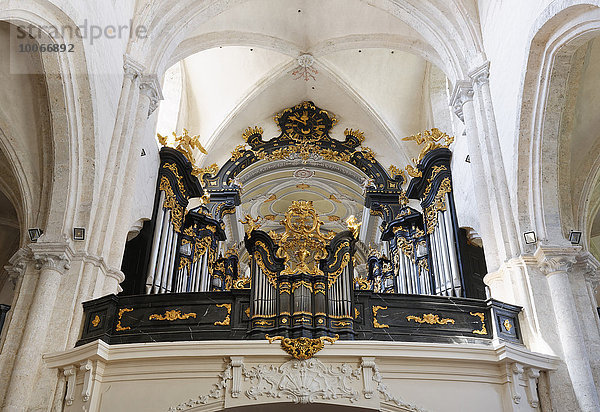 Orgel in Stiftskirche  Zisterzienser-Stift Lilienfeld  Lilienfeld  Mostviertel  Niederösterreich  Österreich  Europa