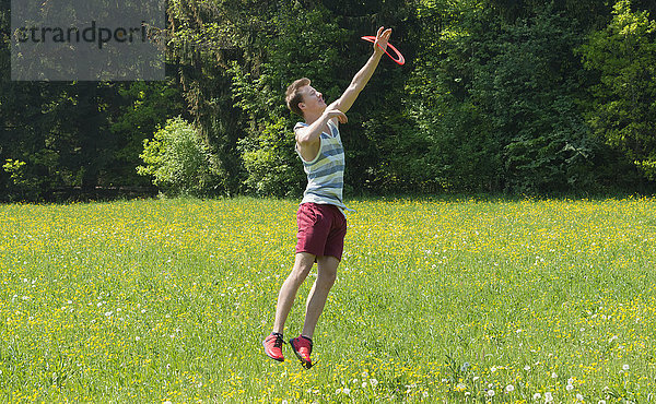 Junger Mann fängt Frisbee  gelbe Blumenwiese  Perlacher Forst  München  Bayern  Deutschland  Europa