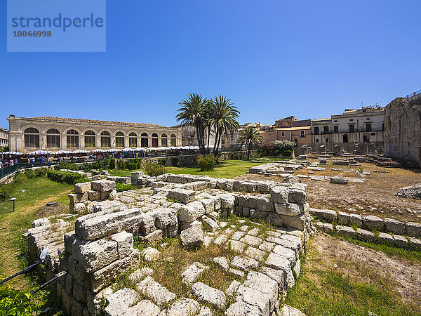 Tempio di Apollo  Apollo-Tempel  Altstadt  UNESCO Weltkulturerbe  Syrakus  Sizilien  Italien  Europa