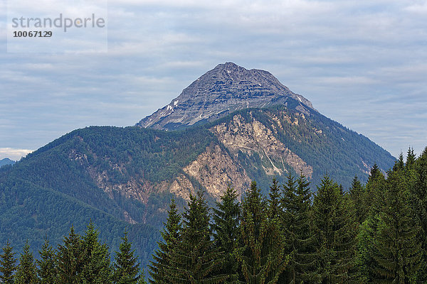 Berg Ötscher  Naturpark Ötscher-Tormäuer  Eisenwurzen  Mostviertel  Niederösterreich  Österreich  Europa